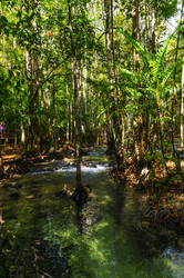 Similar image 22195979