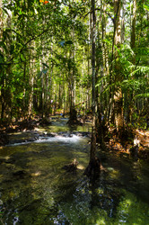 Similar image 22195980