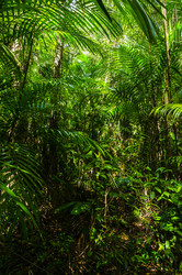 Similar image 22195983