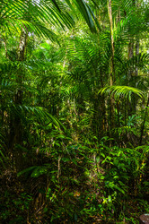 Similar image 22195985