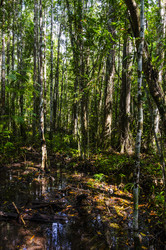 Similar image 22195989