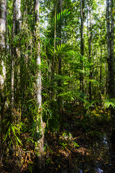 Similar image 22195991