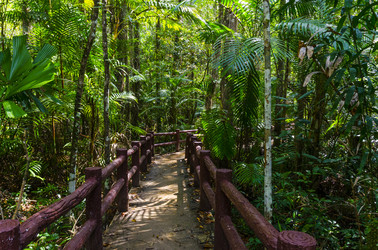 Similar image 22195992