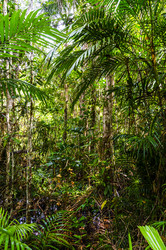 Similar image 22195993