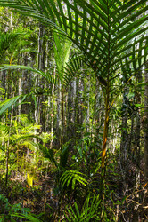 Similar image 22195995