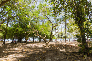 Similar image 22195997