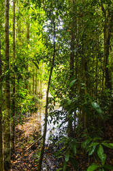 Similar image 22195998