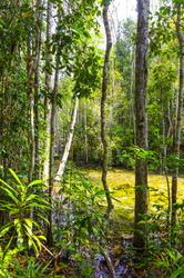 Similar image 22196000