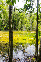 Similar image 22196001