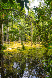 Similar image 22196002