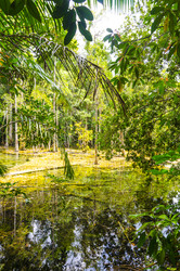 Similar image 22196003