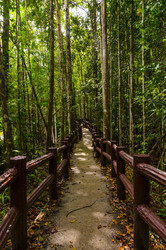 Similar image 22196004