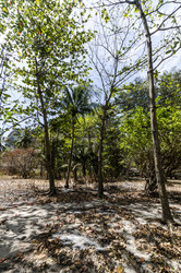 Similar image 22196005