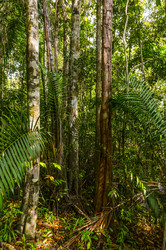 Similar image 22196006