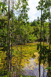 Similar image 22196007