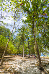 Similar image 22196008