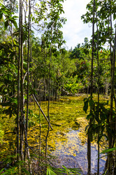 Similar image 22196009