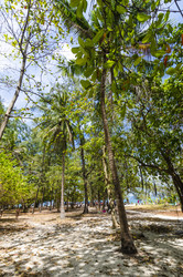 Similar image 22196011