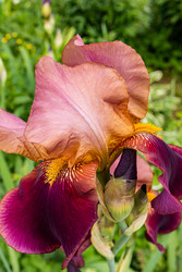 Similar image 22196108