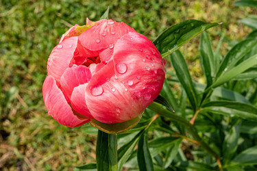 Similar image 22196109