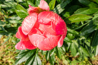 Similar image 22196111