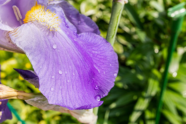 Similar image 22196112