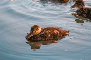 Similar image 22196121