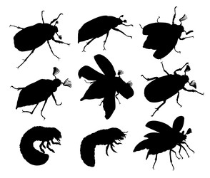 Similar image 22195479