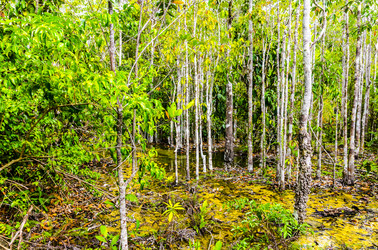 Similar image 22199801