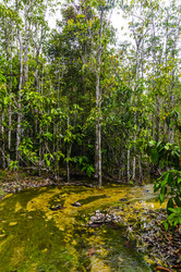 Similar image 22199802