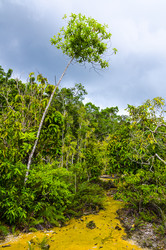 Similar image 22199803