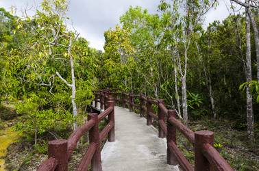 Similar image 22199804