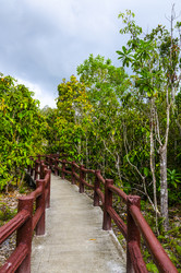 Similar image 22199805