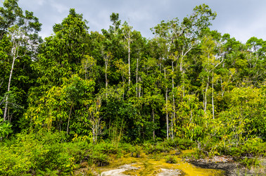 Similar image 22199806