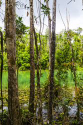 Similar image 22199807