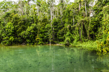 Similar image 22196416