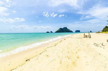 Similar image 22196013