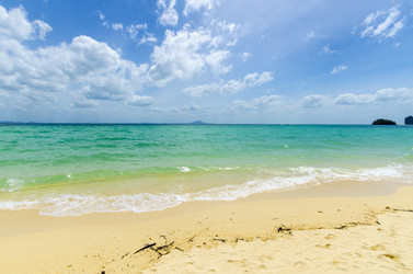 Similar image 22196014