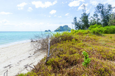 Similar image 22196018