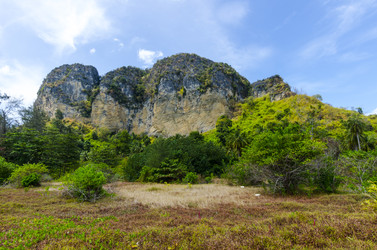 Similar image 22196019