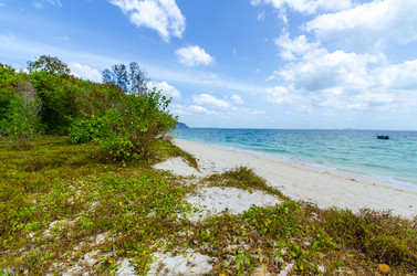 Similar image 22196021