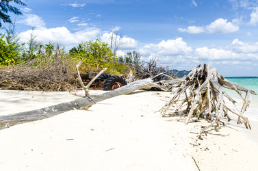 Similar image 22196023