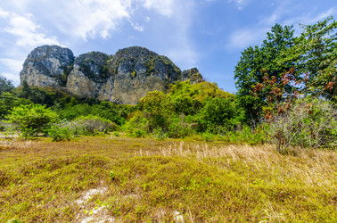 Similar image 22196024