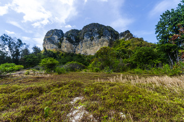 Similar image 22196025