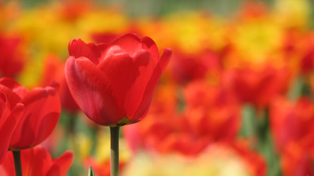 Similar image 22202987