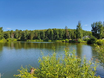 Similar image 22195480