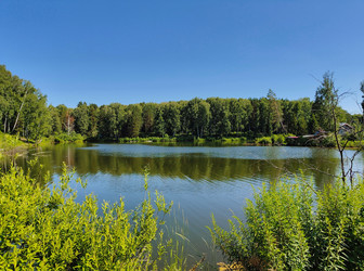 Similar image 22195482