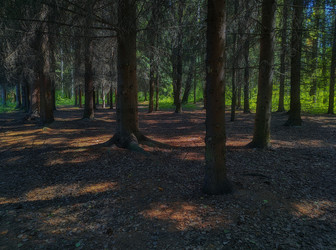 Similar image 22195484