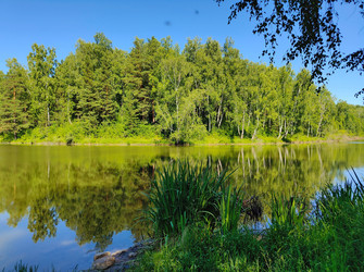 Similar image 22195485