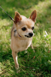 Similar image 22208450